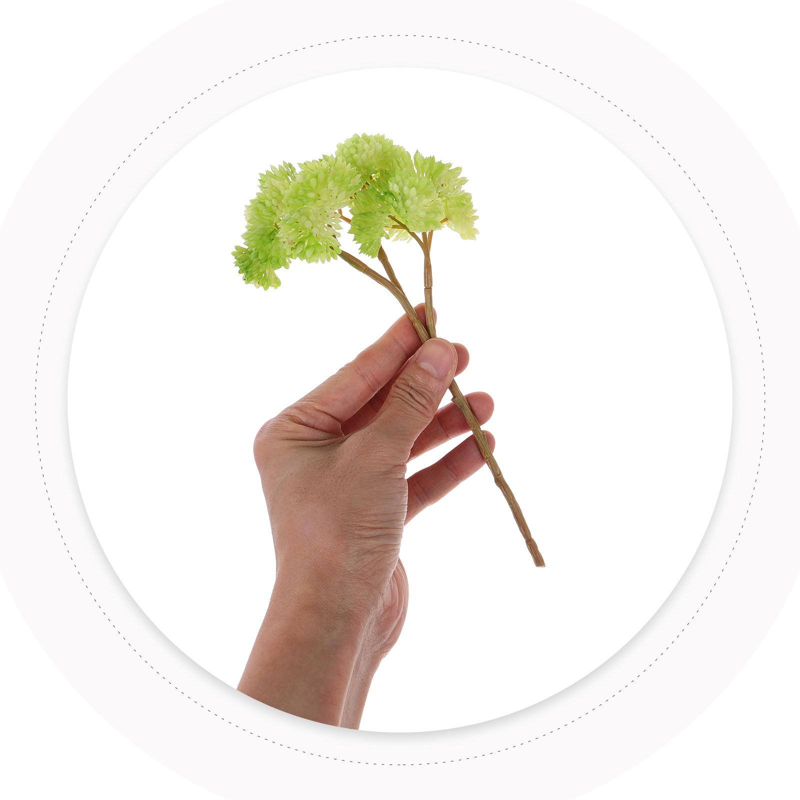 Plantes succulentes artificiel - Photography Lighting Home avis et prix