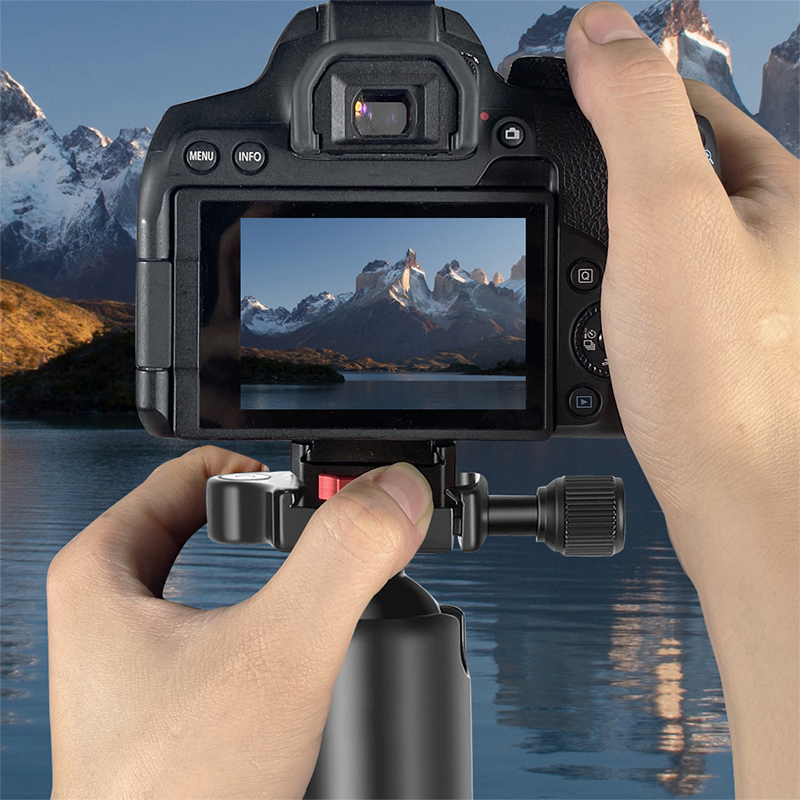 Plaque de commutation rapide a - Photography Video Lighting Kit With Adjustable Tripod Stand avis et prix